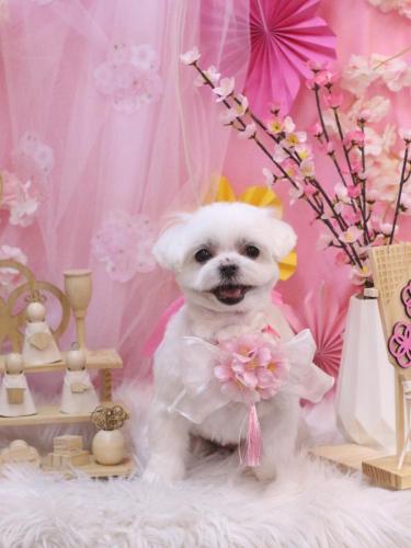 20250323マルちゃん